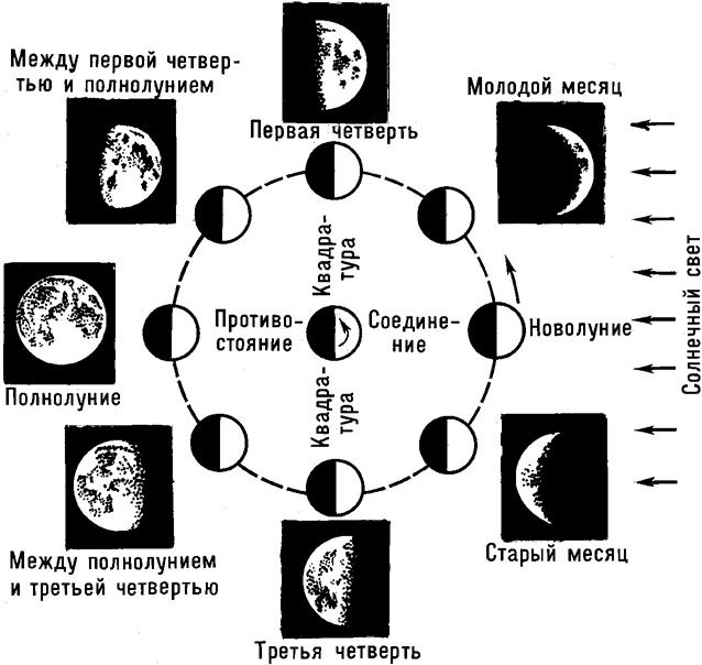 Схема луны в течение месяца. Схема изменения фаз Луны. Фазы Луны схема из учебника. Схема смены фаз Луны. Что такое фазы Луны нарисуйте схему.